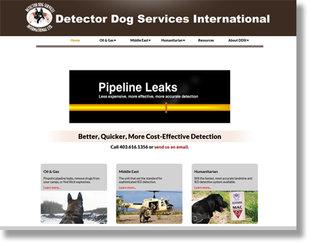 Calgary business-to-business (B2B) website design and development, website copywriting, website image, website text, website testimonials example